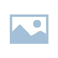 中医用中药来治病靠的是什么？